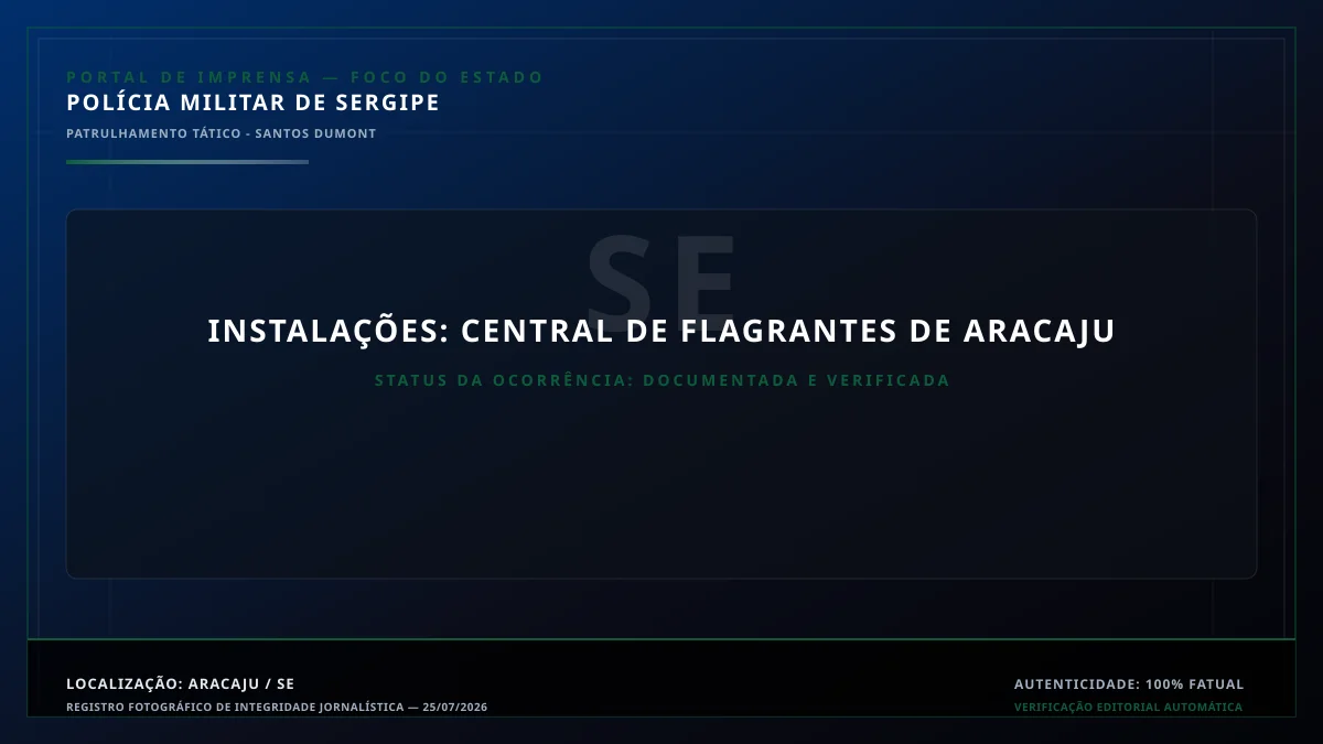 Apresentação e catalogação dos bens apreendidos na delegacia