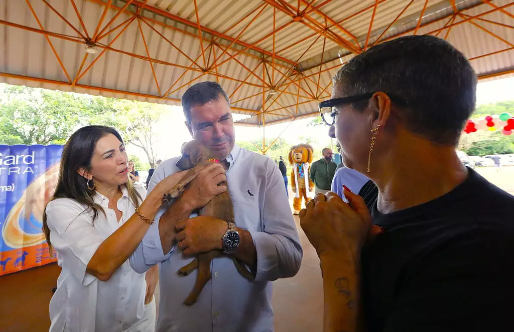 Caravana da Castração encerra 1ª etapa com 20 mil animais em 63 municípios