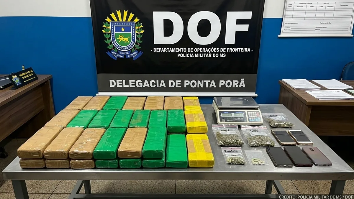 Apresentação e catalogação dos bens apreendidos na delegacia