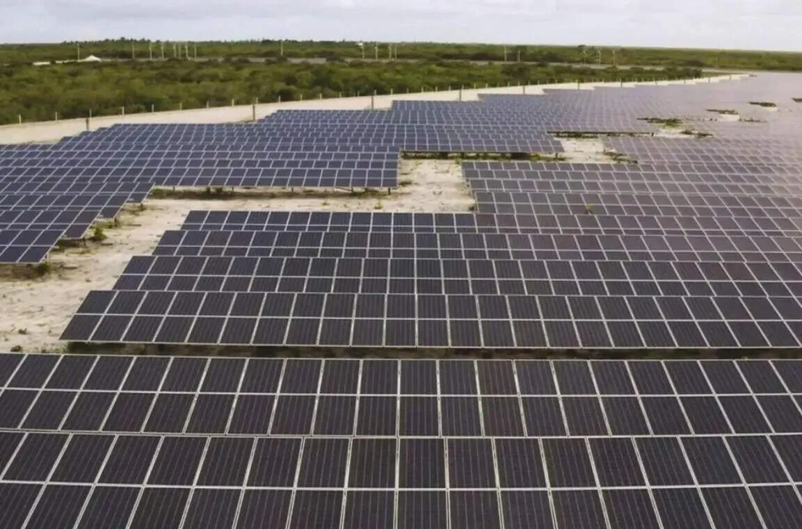 Empresa de energia solar aposta na formação de estudantes em MS